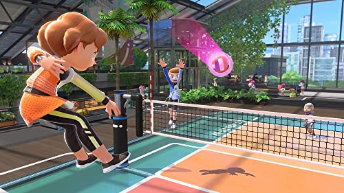 Nintendo Switch Sports soft - WAFUU JAPAN