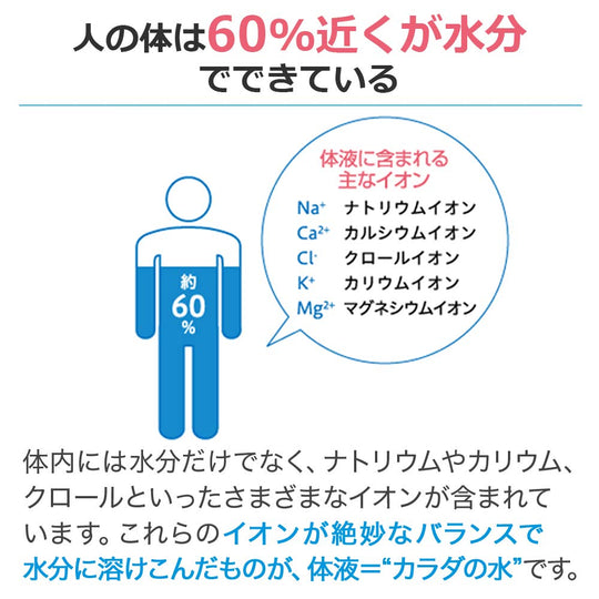 Otsuka Pocari Sweat Powder (74g) for 1L x 5 bags - WAFUU JAPAN