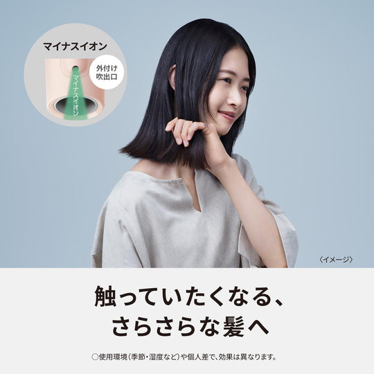 Panasonic dryer Ionity powerful dry EH-NE5L 100V - WAFUU JAPAN