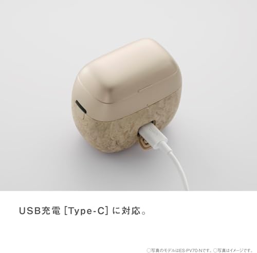 Panasonic Lamdash Palm Shaver 70th Anniversary Edition 5 - Blade ES - PV70 - WAFUU JAPAN
