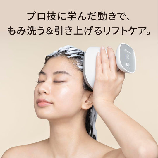 Panasonic Scalp Esthe Lift Mode Massage Brush 3 Speed Silver EH - HE0J - S - WAFUU JAPAN
