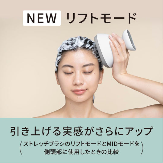Panasonic Scalp Esthe Lift Mode Massage Brush 3 Speed Silver EH - HE0J - S - WAFUU JAPAN