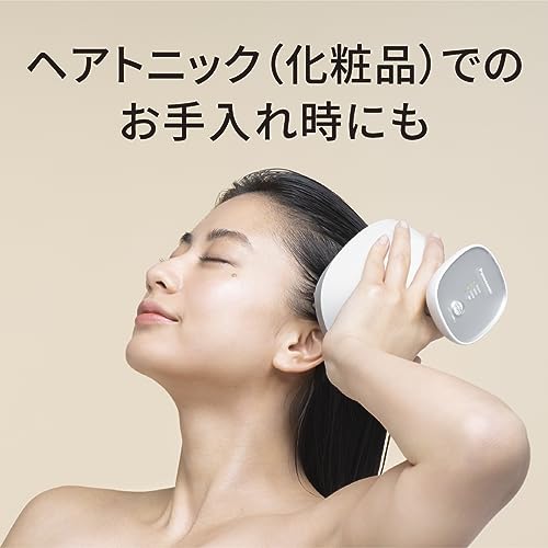 Panasonic Scalp Esthe Lift Mode Massage Brush 3 Speed Silver EH - HE0J - S - WAFUU JAPAN