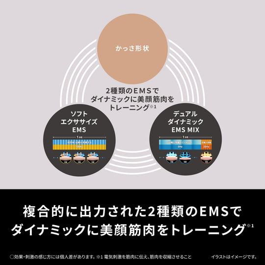 Panasonic Vitalift Facial Massager EMS Waterproof Warm Compress EH - SP86 - K Black - WAFUU JAPAN