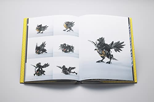 Pokemon Craft Art Discovery of Beauty and Technique Limited Edition - WAFUU JAPAN