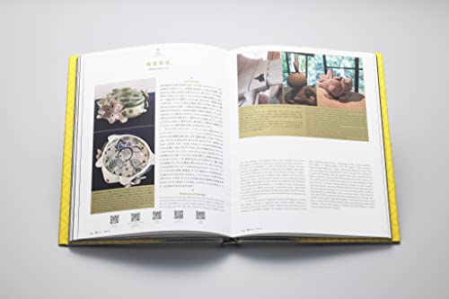 Pokemon Craft Art Discovery of Beauty and Technique Limited Edition - WAFUU JAPAN