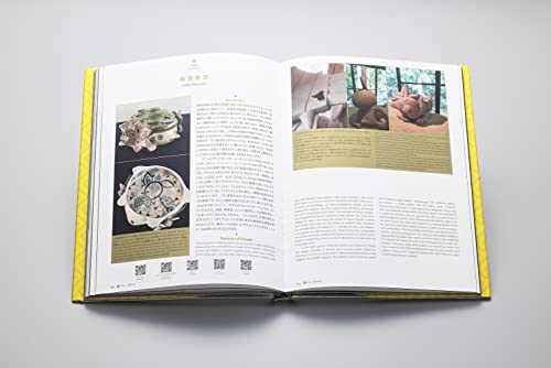 Pokemon Craft Art Discovery of Beauty and Technique Limited Edition - WAFUU JAPAN