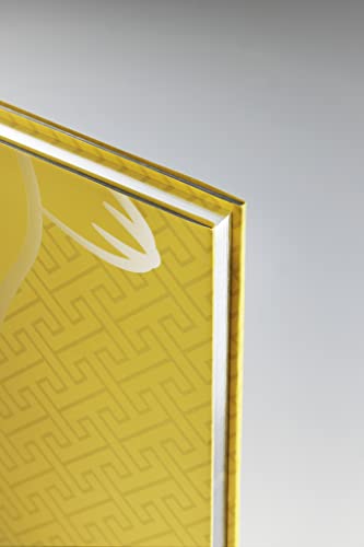 Pokemon Craft Art Discovery of Beauty and Technique Limited Edition - WAFUU JAPAN