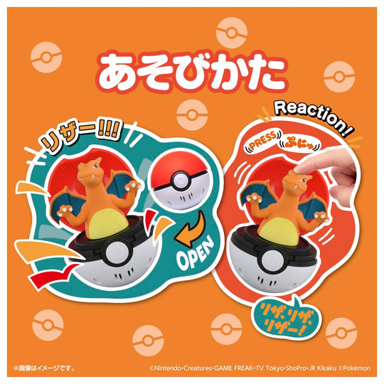 Pokémon Pyokopunyu Charizard - WAFUU JAPAN