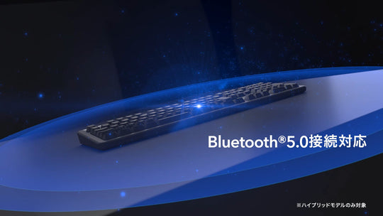 REALFORCE R3 Keyboard Hybrid Full 30g English Array Black & Dark Gray R3HB13 - WAFUU JAPAN