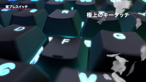 REALFORCE Rapid Trigger GX1 Quiet 45g TKL Gaming Keyboard X1UD11 87 Keys - WAFUU JAPAN