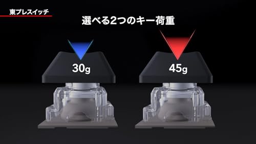 REALFORCE Rapid Trigger GX1 Quiet 45g TKL Gaming Keyboard X1UD11 87 Keys - WAFUU JAPAN