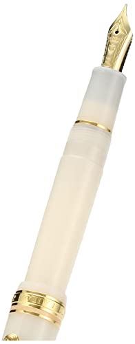 Sailor Fountain Pen Shikiori Yukizuki Soraha Meigetsu Medium Fine 11 - 1224 - 303 - WAFUU JAPAN