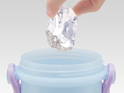 Skater Disney Anna and the Snow Queen Children's Water Bottle 480ml PSB5KD-A - WAFUU JAPAN