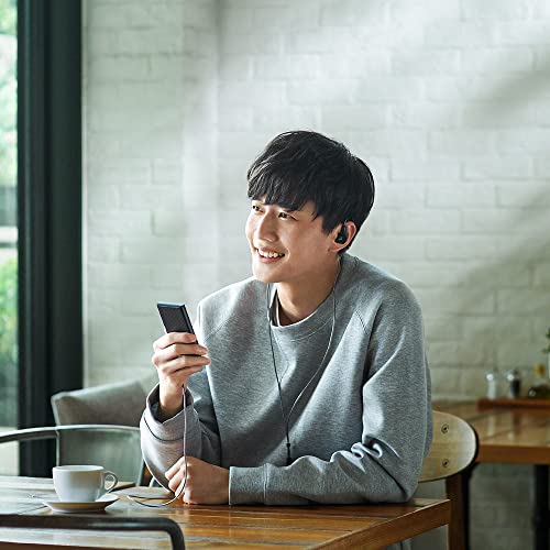 SONY Walkman NW - A307 64GB (A300) — Hi - Res wireless LDAC/aptX HD 36h Blue - WAFUU JAPAN