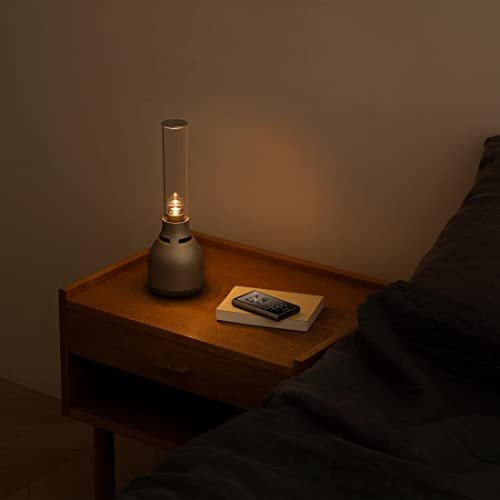 SONY Walkman NW - A307 64GB (A300) — Hi - Res wireless LDAC/aptX HD 36h Blue - WAFUU JAPAN