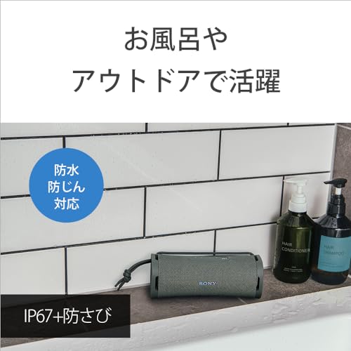 Sony Wireless Speakers ULT FIELD 1 IP67 SRS-ULT10 - WAFUU JAPAN