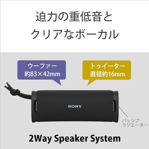 Sony Wireless Speakers ULT FIELD 1 IP67 SRS-ULT10 - WAFUU JAPAN