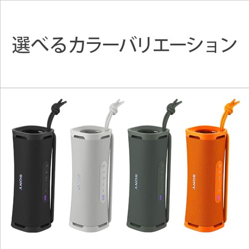 Sony Wireless Speakers ULT FIELD 1 IP67 SRS-ULT10 - WAFUU JAPAN