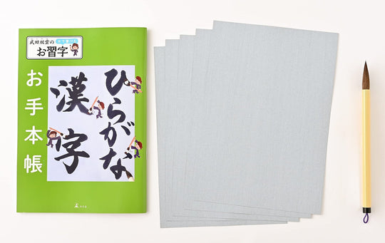 SOUUN TAKEDA Water Writable Japanese Shuji Calligraphy: Hiragana and Kanji - WAFUU JAPAN