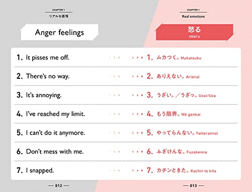 Super Real Japanese Authentic Collectible Figure Limited Edition - WAFUU JAPAN