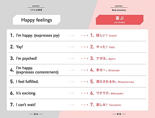 Super Real Japanese Authentic Collectible Figure Limited Edition - WAFUU JAPAN