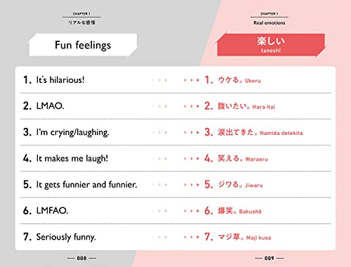 Super Real Japanese Authentic Collectible Figure Limited Edition - WAFUU JAPAN