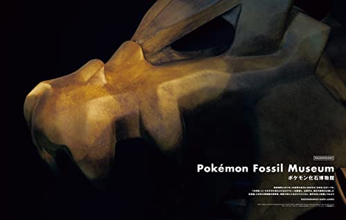 Switch Magazine Vol 39 No 11 Pokemon Museum 2021 Special Edition - WAFUU JAPAN