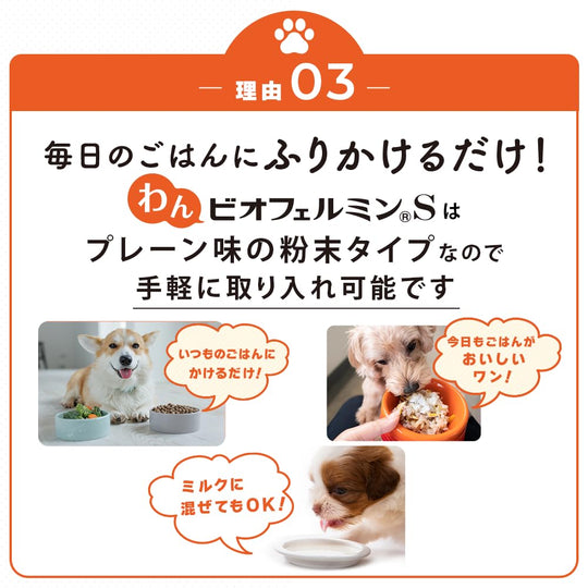 Taisho Pharmaceutical Wan Biofermin S Probiotic Supplement for Dogs Plain Flavor 40g - WAFUU JAPAN
