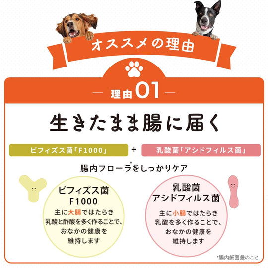 Taisho Pharmaceutical Wan Biofermin S Probiotic Supplement for Dogs Plain Flavor 40g - WAFUU JAPAN