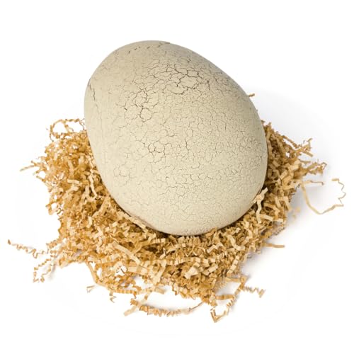 Takara Tomy Umarete Woom Jurassic World T - Rex Egg Toy - WAFUU JAPAN