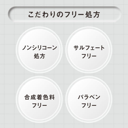 THE ANSWER Super Lamella Shampoo 400ml EX Gloss Treatment 220g Lamella Milk 6g - WAFUU JAPAN