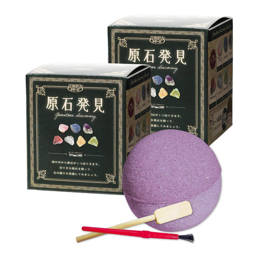 Treasure Excavation Kit 2pcs Raw Gemstone Fossil Toy Set - WAFUU JAPAN