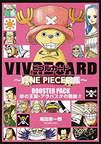 VIVRE CARD ONE PIECE Illustrated Book 1st Set - WAFUU JAPAN