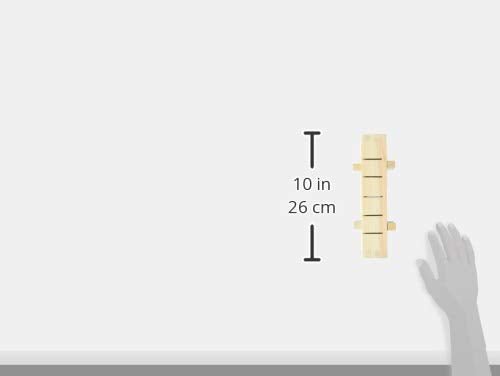 Yamako Oshizushi Maker 6 - Cut Sushi Press 81786 24 2x6x10 2cm - WAFUU JAPAN