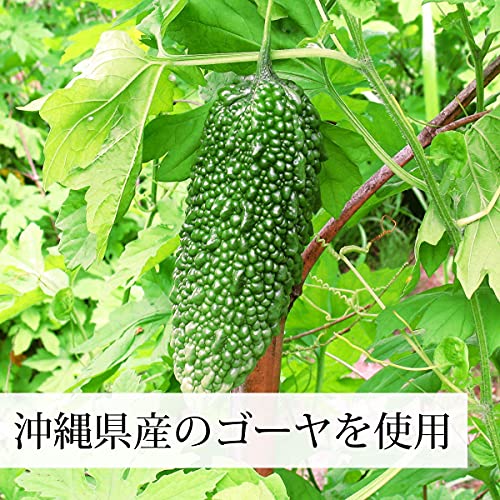 100% bitter melon tea Powder 100g × 10 bag aluminum bag - WAFUU JAPAN