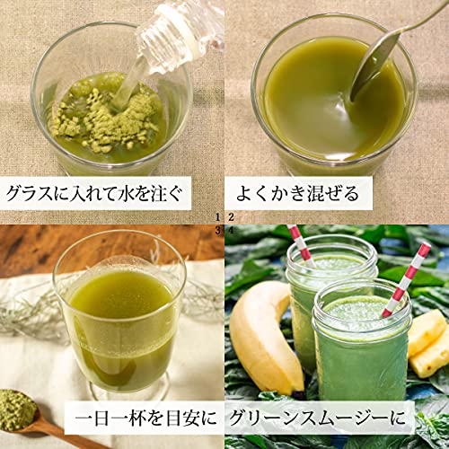 100% bitter melon tea Powder 100g × 10 bag aluminum bag - WAFUU JAPAN