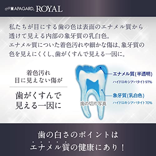 APAGUARD Tooth Paste Royal 135g – WAFUU JAPAN