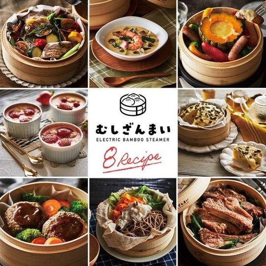 APIX Electric Seiro Steamer AMZ-450 steam cooker 100v - WAFUU JAPAN