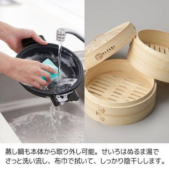 APIX Electric Seiro Steamer AMZ-450 steam cooker 100v - WAFUU JAPAN