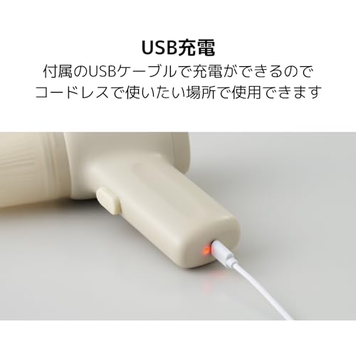 APIX Hapical 2way Cleaner Blower AHR-606(IV) - WAFUU JAPAN
