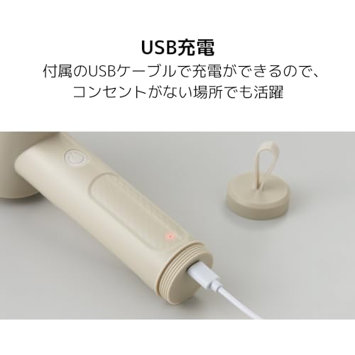 APIX Hapical Multiscrubber IPX7 waterproof Rechargeable AHR-505(IV) - WAFUU JAPAN
