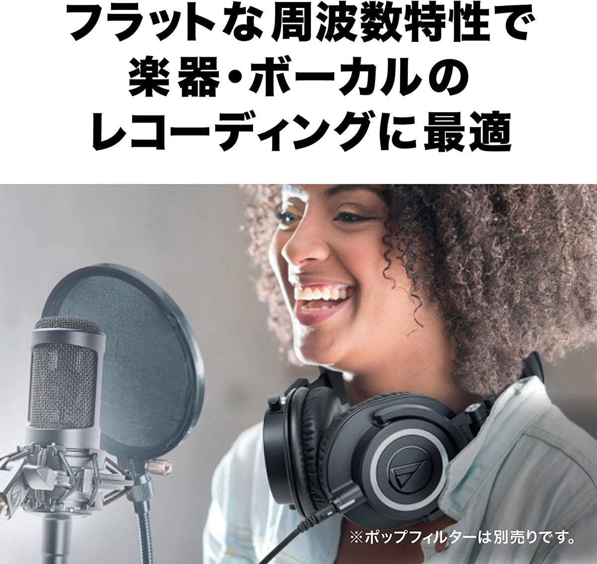 Audio technica オーディオテクニカ AT2035 コンデンサーマイク