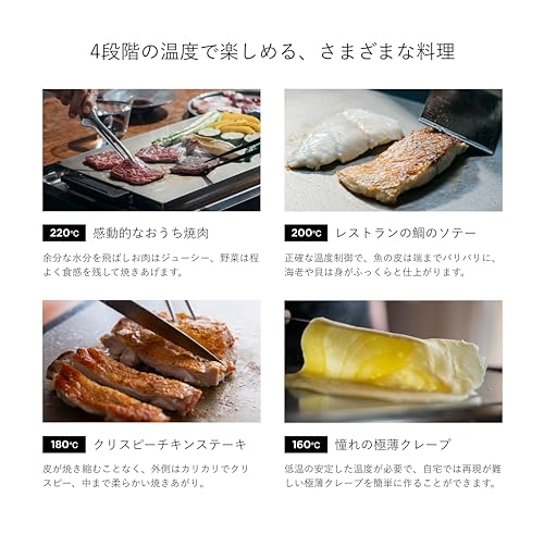 BALMUDA The Plate Pro Hot Plate K10A-BK - WAFUU JAPAN