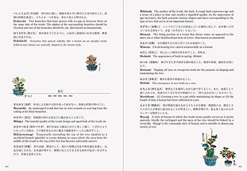 Bonsai New Edition with English Translation - WAFUU JAPAN