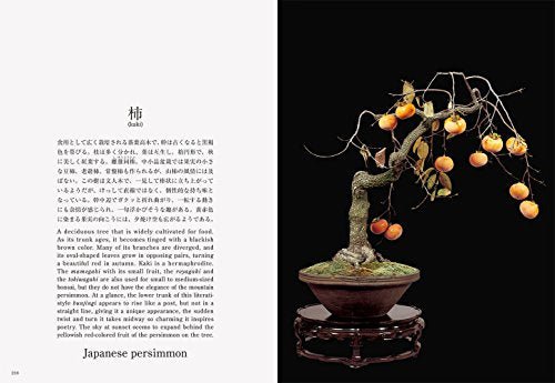 Bonsai New Edition with English Translation - WAFUU JAPAN