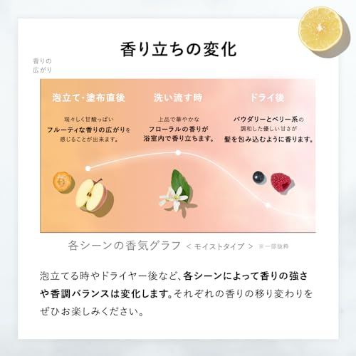 BOTANIST Botanical Shampoo & Treatment Set 460ml - WAFUU JAPAN