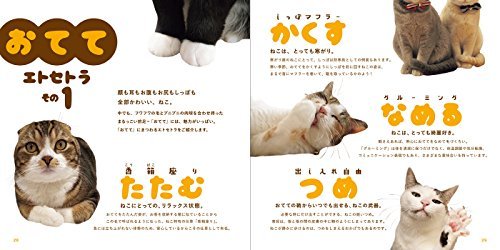 Cat Paws Books - WAFUU JAPAN