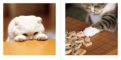 Cat Paws Books - WAFUU JAPAN