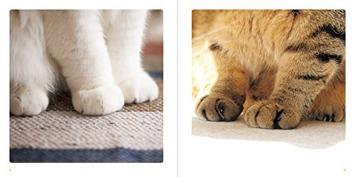 Cat Paws Books - WAFUU JAPAN